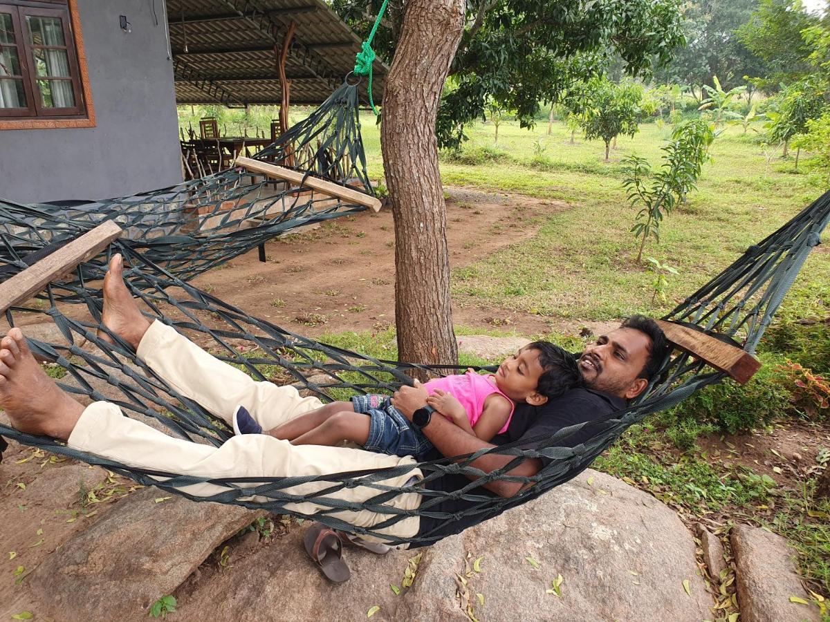 Ceylon Resort ウィルパットゥ エクステリア 写真